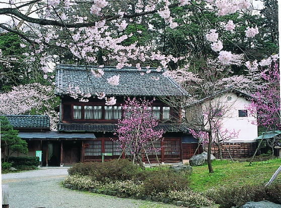 中村酒造